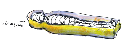 Sarcofaag